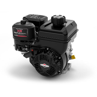 Motor 6.5hp XR Professional Series™