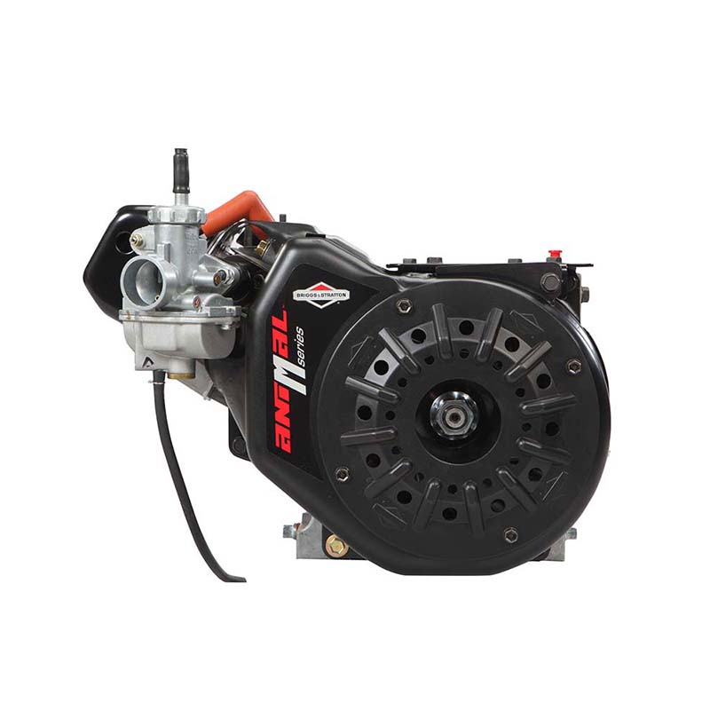 Briggs & Stratton Engines Racing, Snow Blower & Mowers