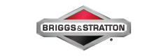 Enregistrement de produit Briggs & Stratton