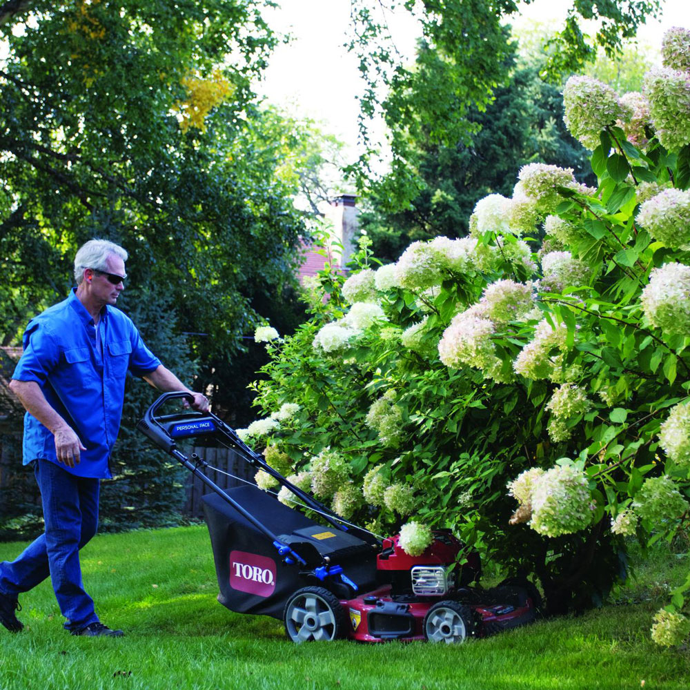 Toro Recycler 22 PoweReverse Lawn Mower Toro Recycler 22 PoweReverse Lawn Mower