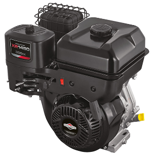 Motor 10.0hp XR Professional Series™