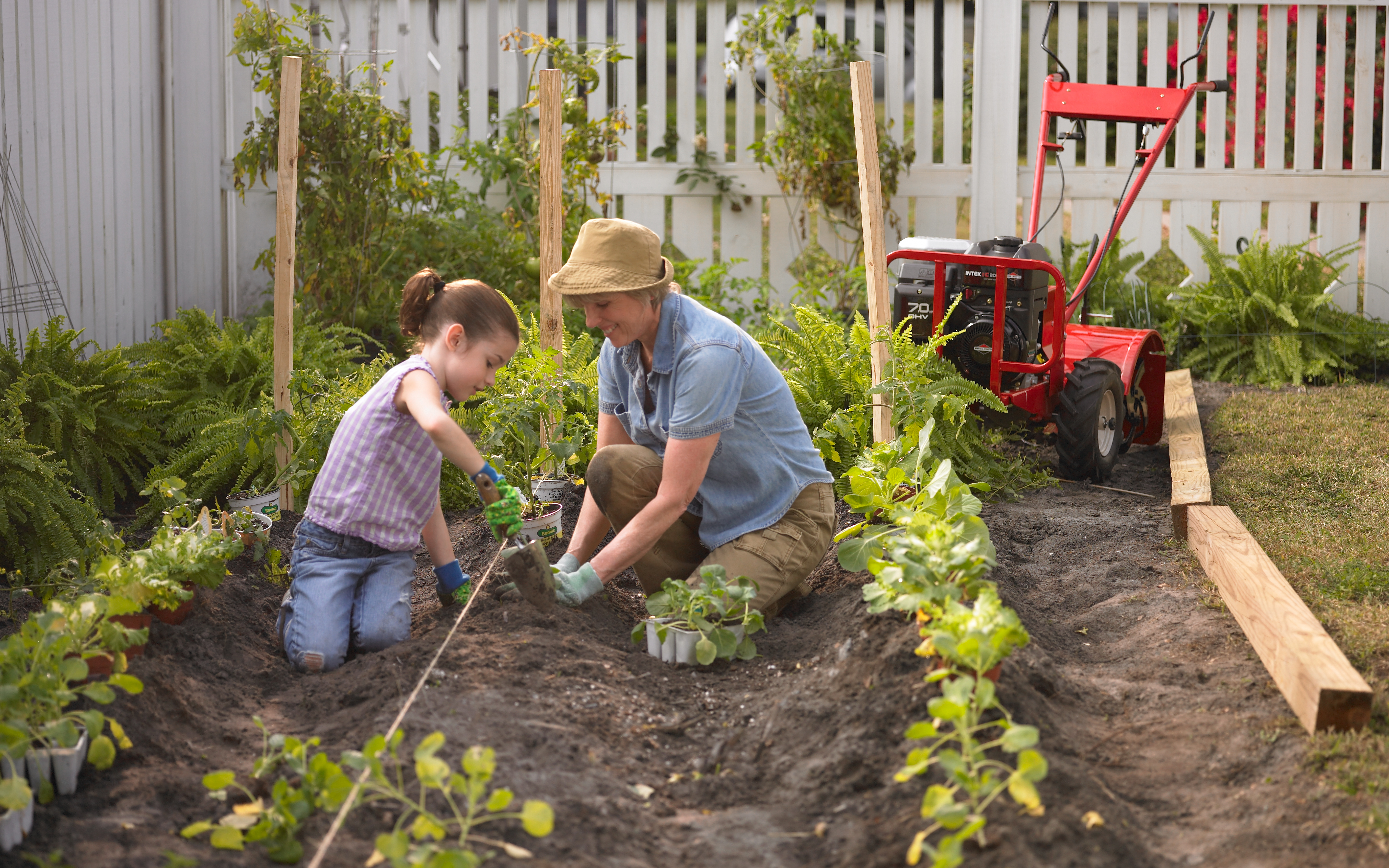 Sustainability by Briggs & Stratton