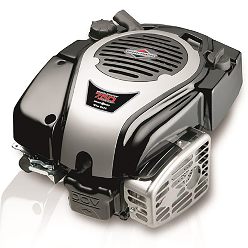 Briggs & Stratton I/C Vertical Engine