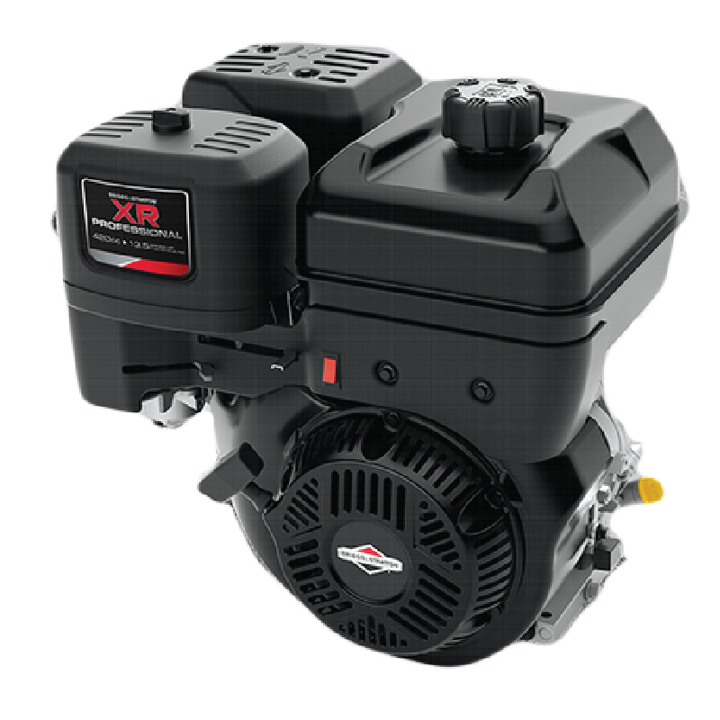 Briggs & Stratton I/C Vertical Engine