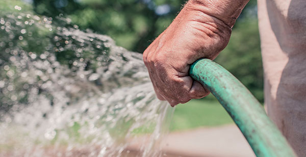 Suggerimenti sull’irrigazione del prato