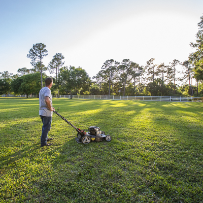 Gas-powered mowers tackle any conditions