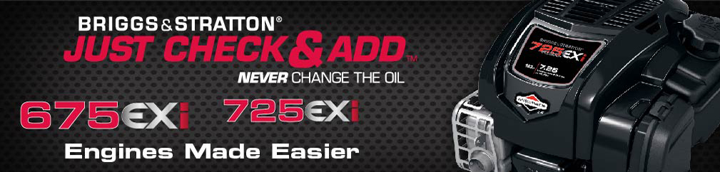 Briggs and stratton mower oil change best sale