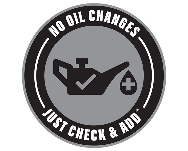 Just Check and Add Engine Briggs and Stratton