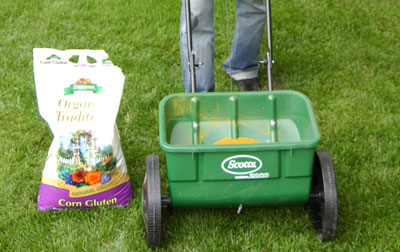 The Do's and Don'ts of Lawn Care and Lawn Mower Maintenance | Briggs & Stratton News The Do's and Don'ts of Lawn Care and Lawn Mower Maintenance | Briggs & Stratton News