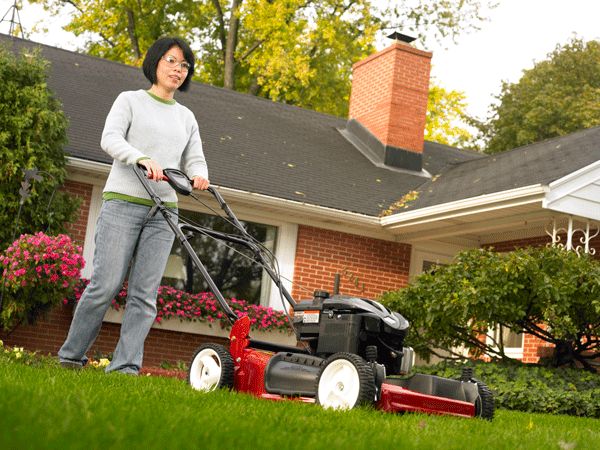 Push Mower Buying Guide