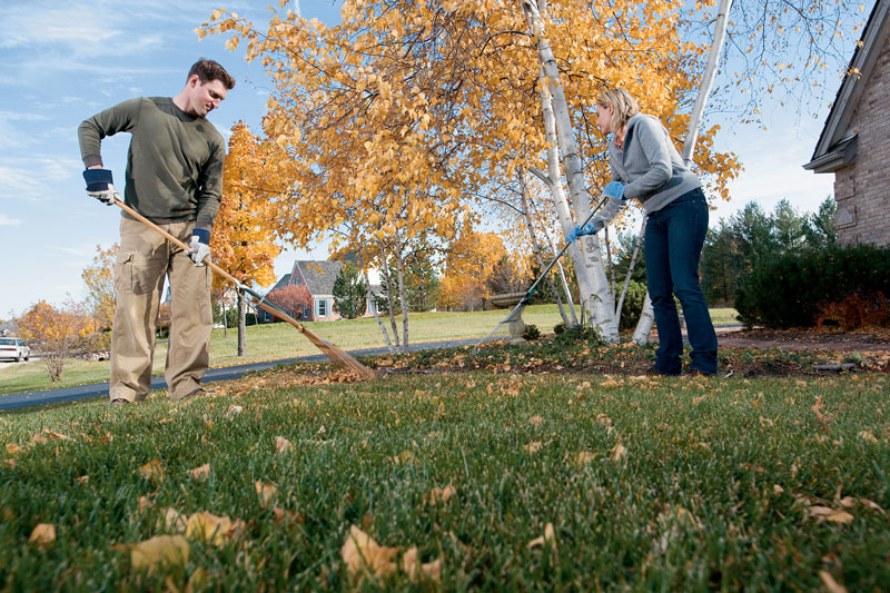 Lawn Care Lehi Ut