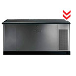 Briggs & Stratton Standby Generator Model