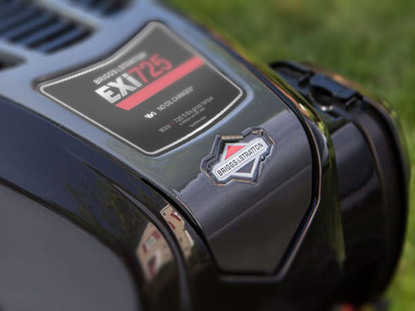 Briggs and stratton discount lawn mower engine