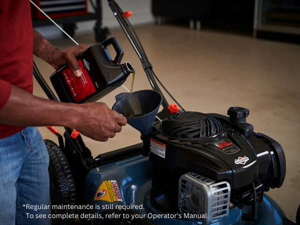 Briggs and stratton store lawn mower repair
