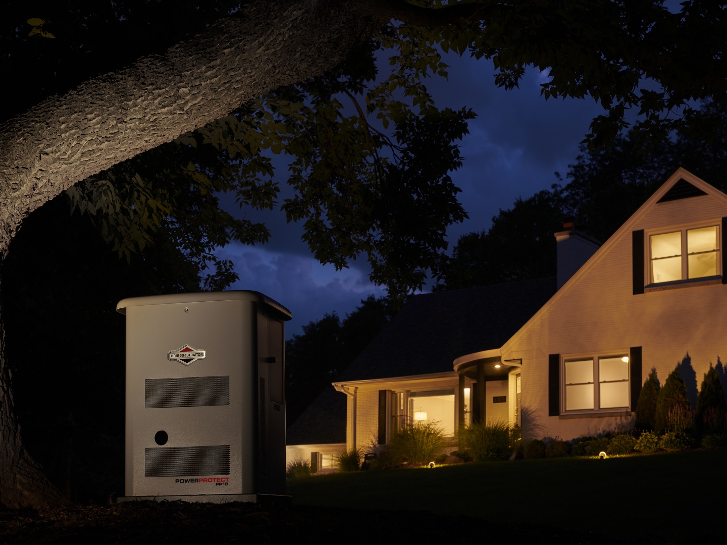 Whole Home Generator