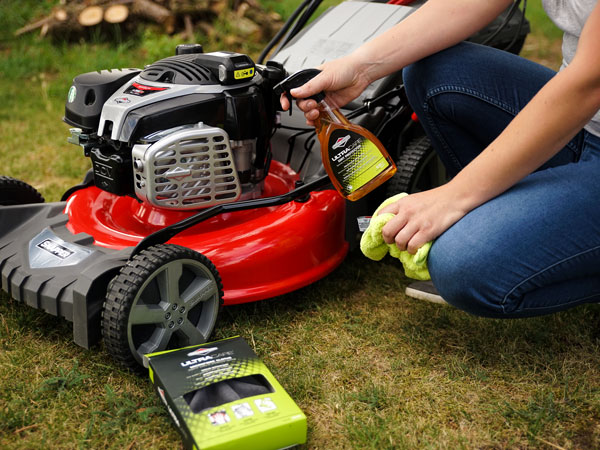 Small Engines Briggs Stratton