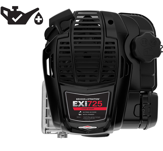 Lawn mower no oil change required sale