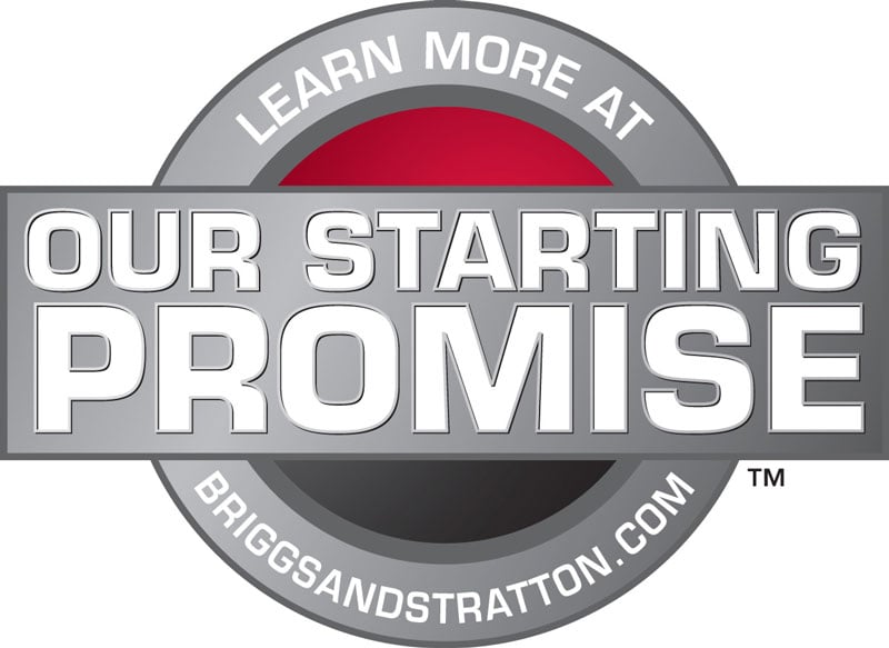 briggs_starting_promise_logo