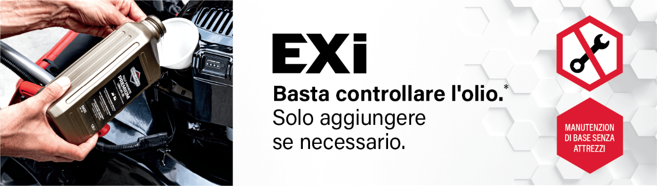 copy-of-bas-eu-innovation-pages-visual-section---exi---ita-min