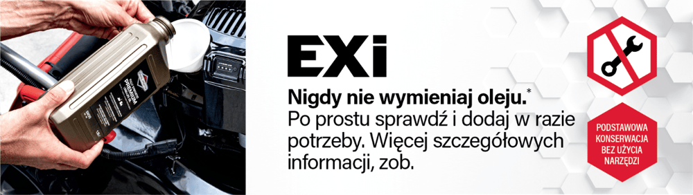 copy-of-bas-eu-innovation-pages-visual-section---exi---pol-min