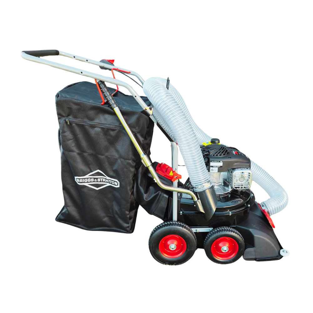 Briggs Engine - 1000 x 1000 px (17)-2
