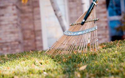 Briggs & Stratton Corporation Shares Pros And Cons For Raking Or Mulching Leaves In The Fall