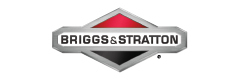 Briggs&Stratton_240x80